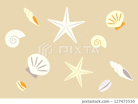 Illustration of various seashells 127473530