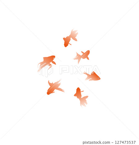 Goldfish illustration 127473537