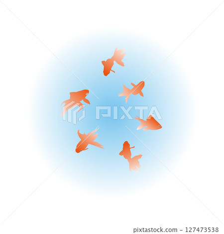 Goldfish illustration 127473538