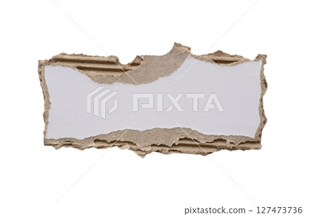 piece of white paper tear isolated on white background 127473736