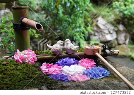 Yanagitani Kannon Flower Hand Water 127473832