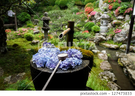 Yanagitani Kannon Flower Hand Water Yanagitani Kannon Flower Hand Water 127473833