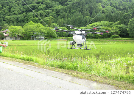 Drone spraying pesticides on rice paddies 127474795