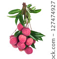 Lychee fruit isolated on white background 127474927