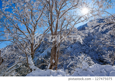 250317 秋山鄉雪景（晴朗） 127475075