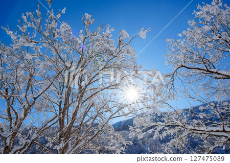 250317 秋山鄉雪景（晴朗） 127475089