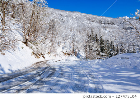 250317 Snow scene in Akiyamago (clear sky) 250317 Snow scene in Akiyamago (clear sky) 127475104