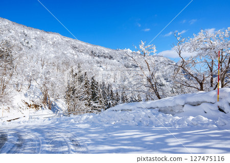 250317 秋山鄉雪景(晴朗) 250317 秋山鄉雪景(晴朗) 127475116