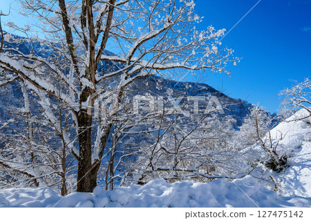 250317 秋山鄉雪景（晴朗） 127475142
