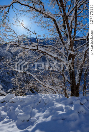 250317 Snow scene in Akiyamago (clear sky) 127475153