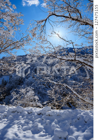 250317 秋山鄉雪景（晴朗） 127475155