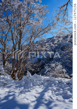 250317 秋山鄉雪景（晴朗） 127475156
