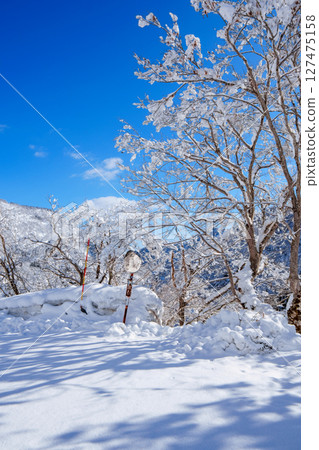 250317 秋山鄉雪景（晴朗） 127475158