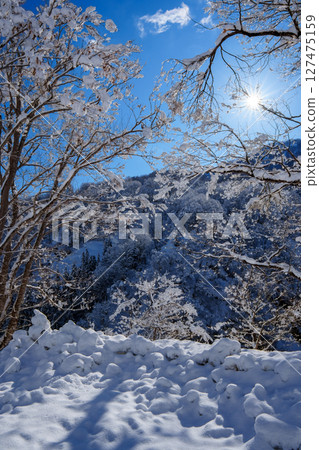 250317 秋山鄉雪景（晴朗） 127475159