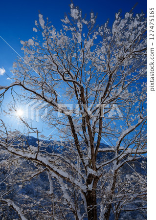 250317 秋山鄉雪景(晴朗) 250317 秋山鄉雪景(晴朗) 127475165