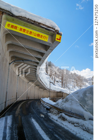 250319 秋山鄉雪景(晴朗) 250319 秋山鄉雪景(晴朗) 127475250
