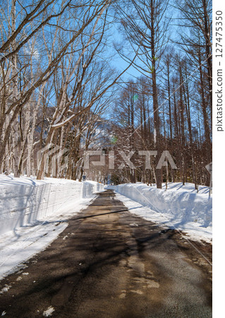 250319 Snow scene in Akiyamago (clear sky) 250319 Snow scene in Akiyamago (clear sky) 127475350