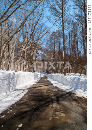 250319 Snow scene in Akiyamago (clear sky) 250319 Snow scene in Akiyamago (clear sky) 127475351