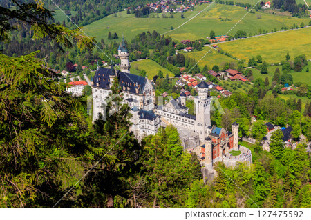 Neuschwanstein Castle in the Bavarian Alps, Germany Neuschwanstein Castle in the Bavarian Alps, Germany 127475592