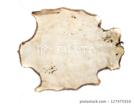 Leather texture. 127475910