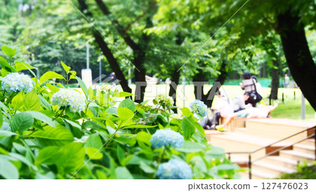 Early summer in a city park Early summer in a city park 127476023