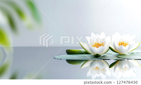 Two beautiful white water lilies floating on calm water with green leaves, creating a serene and peaceful atmosphere 127476430