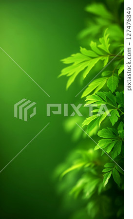 Fresh green leaves cascading against a blurred green backdrop 127476849