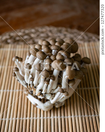 fresh brown shimeji mushroom or beech mushroom. fresh brown shimeji mushroom or beech mushroom. 127477320