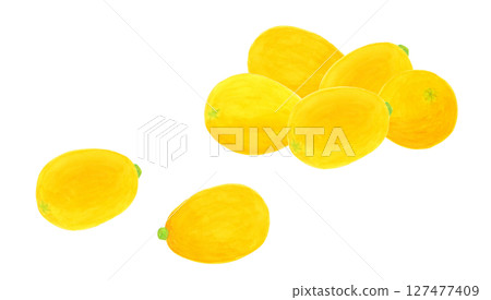 Watercolor illustration of loquat 127477409