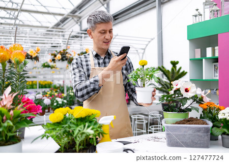 A man in a checkered shirt and apron uses his phone to take a picture of a potted marigold plant in a greenhouse setting. 127477724