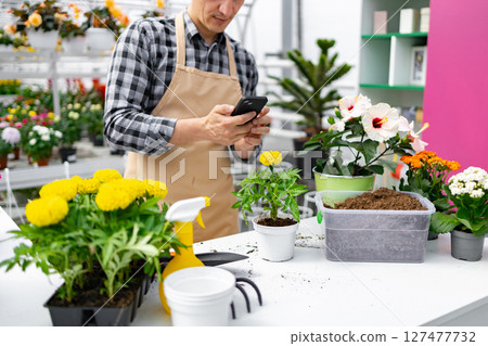 A florist checks a plant on his smartphone in a bright greenhouse, surrounded by flowers and gardening tools. 127477732