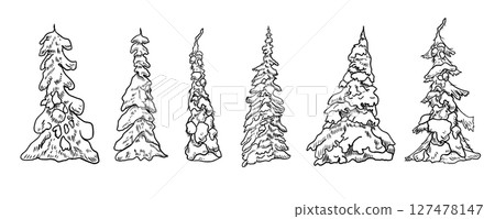Snowy pine trees hand drawn black and white outline vector set illustration. Forest clipart of fir, spruce in monochrome lines for Christmas cards, seasonal designs. Winter woodland trees ink sketch. 127478147