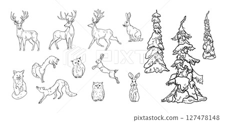 Woodland winter animals clipart with snowy trees hand drawn black white vector outline illustration. Deer, fox, hare and owl linear sketch with pines, firs and spruce for Christmas landscape scene. 127478148