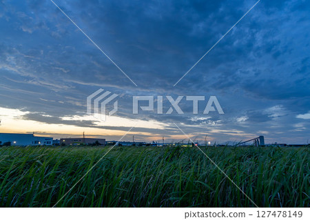 Early summer sky 127478149