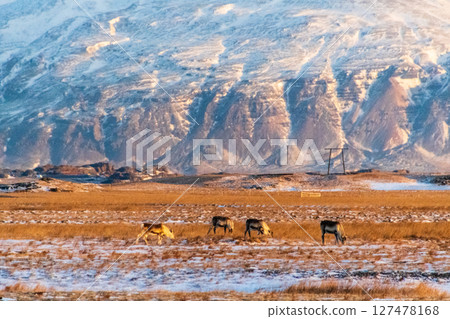 Golden hour along iceland's south coast 127478168