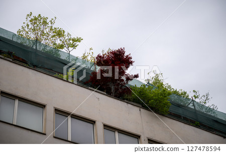 Rooftop garden with trees and shrubs on urban building under gray sky Rooftop garden with trees and shrubs on urban building under gray sky 127478594