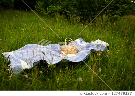 A picnic blanket lies on a grassy field, a wicker basket with fruit and a book rest nearby, creating a serene outdoor scene 127479327