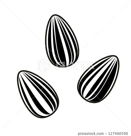 Simple sunflower seed illustration 127480598