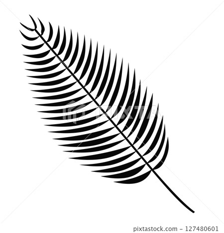 Simple palm leaf illustration Simple palm leaf illustration 127480601