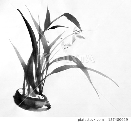 Ink brushstroke painting grass leaves in a vase, monochrome on white background 127480629