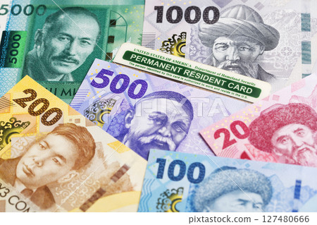 American Permanent Resident Card on Kyrgyz som 127480666