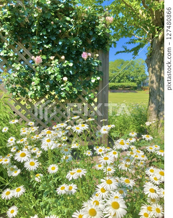 Natural Garden 1 127480866