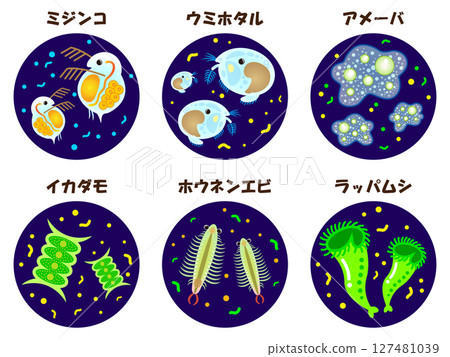 顯微鏡下觀察到的浮游生物插圖集 顯微鏡下觀察到的浮游生物插圖集 127481039