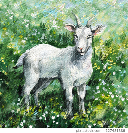 White goat acrylic painting standing in flower field with green grass for farmhouse decor or rustic children's room wall art White goat acrylic painting standing in flower field with green grass for farmhouse decor or rustic children's room wall art 127481886