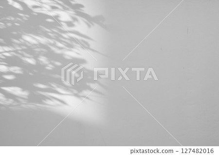 Abstract natural tree leaves shadow on white wall background Abstract natural tree leaves shadow on white wall background 127482016