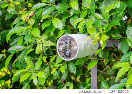 Security IP CCTV camera install on the fence for home security system Security IP CCTV camera install on the fence for home security system 127482095