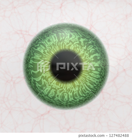Anatomy blue eye close up element, round iris retina and pupil 127482488