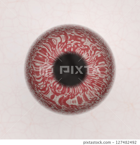 Anatomy blue eye close up element, round iris retina and pupil Anatomy blue eye close up element, round iris retina and pupil 127482492