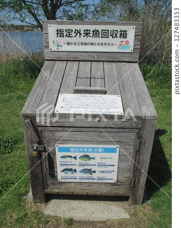 位於熊本市東區江津湖畔的水前寺江津湖公園內設立的入侵魚類收集箱。 127483353