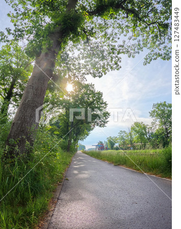 A Serene Country Road That is Beautifully Surrounded by Lush Greenery and Gentle Sunlight 127483449
